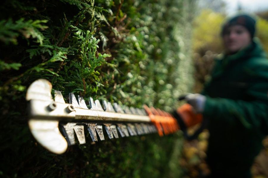 Landscape crew member trimming hedges on a commercial property